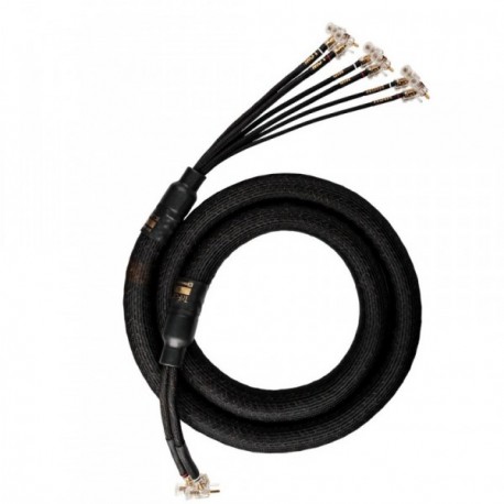 Kimber Summit Series Loudspeaker cable TRIFOCAL XL, TFXL-3(0.9m) xxxx-xxxx