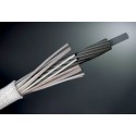 Accuton Cable, SP2-OCC