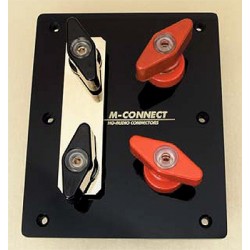 Acrylic terminal plate, biwiring, pole terminals 6 mm