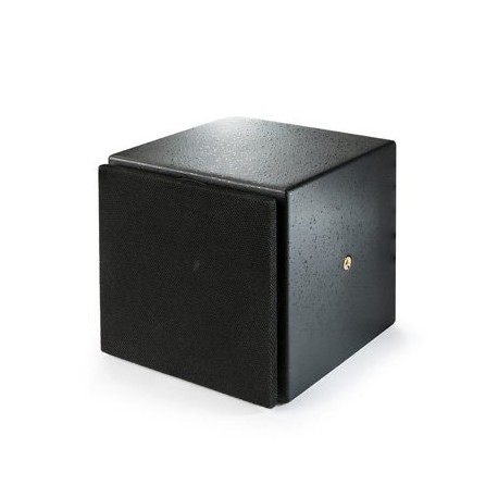 MiniDSP SPK-4P PoE+ AVB speaker, 3.5" full range driver,
